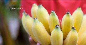 Unlock the potential of bananas for a longer, healthier life – their nutritional value and role in a balanced diet